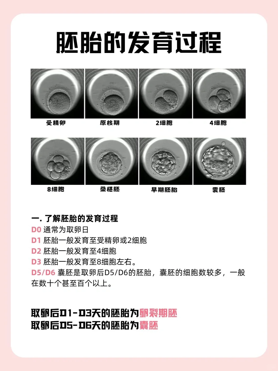 3️⃣个部分读懂囊胚等级❕最后一点一定要看,代孕网怎么选择