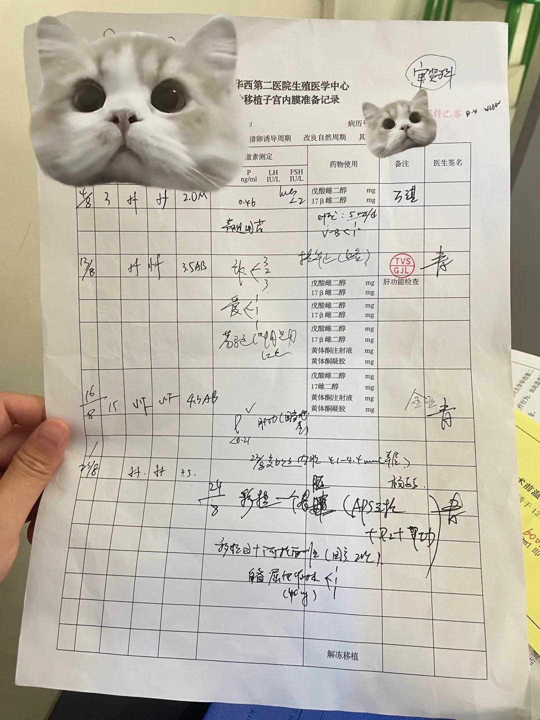 明天就要移植了，内膜变薄了，只有3.5了！！！,试管供卵代怀机构排行