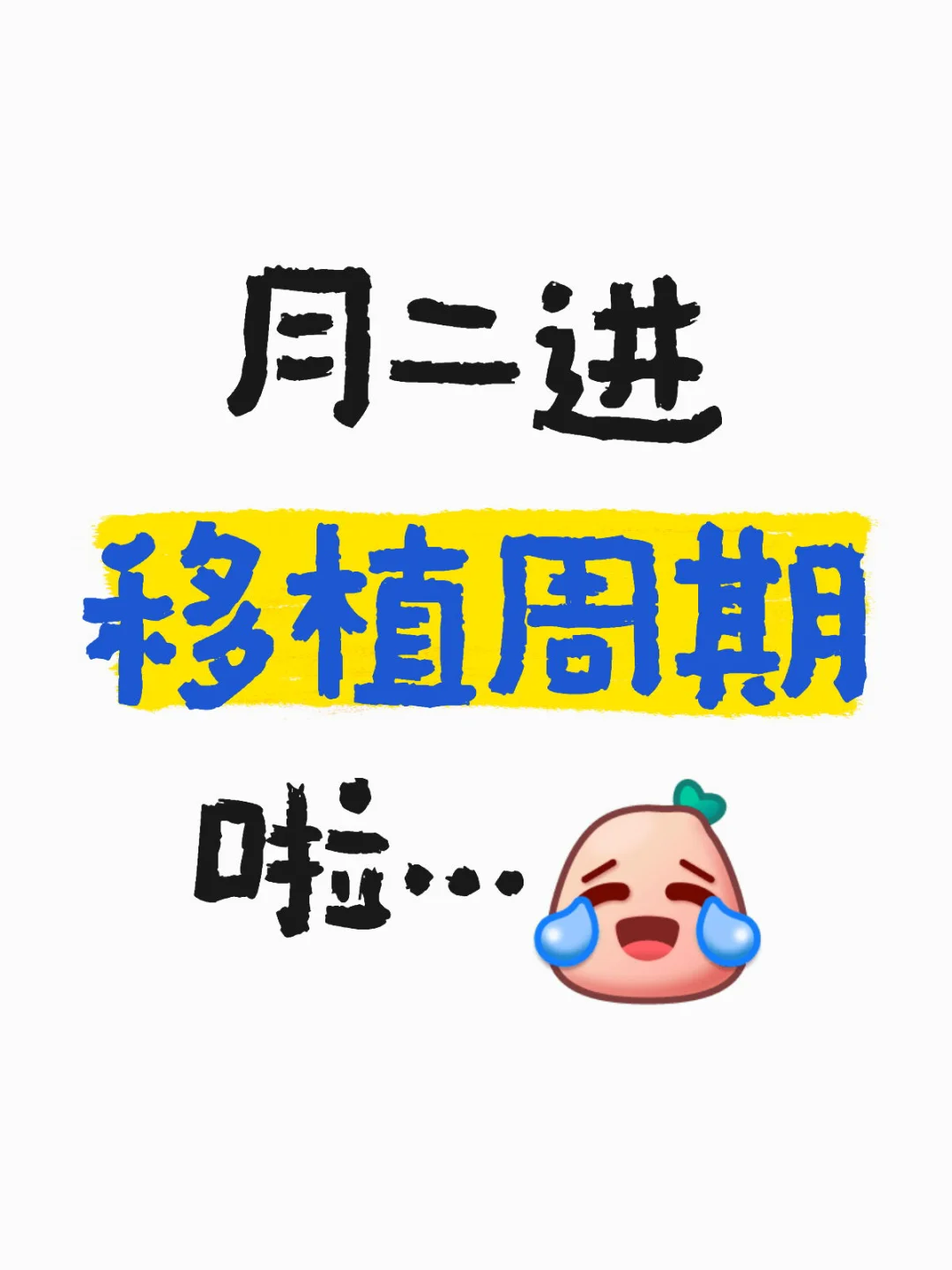 终于进移植周期啦,代孕产子的费用，国内供卵试管做几代