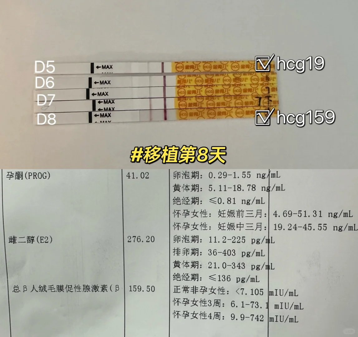 3.17移植今天第八天，看到血值开心了❤️,神州中泰哪里提供代孕服务，国内供卵交流