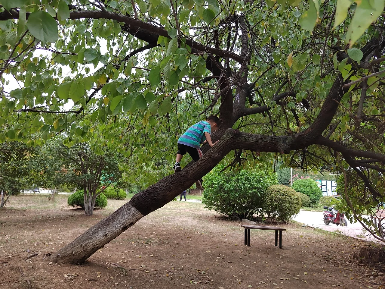 第三次移植终于成功了,代孕网包性别